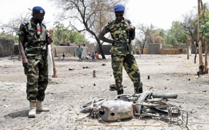 Etat d'urgence dans la région du lac Tchad