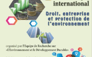 Interférences entre le droit de l’entreprise et les préoccupations environnementales