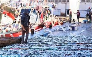 Port de Sidi Ifni : Les débarquements de la pêche côtière et artisanale augmentent de 3% en 2024