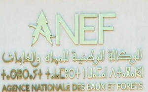 L’ANEF dévoile le Plan directeur d'investissement relatif à la stratégie "Forêts du Maroc 2020-2030"