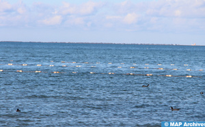 Aquaculture durable : Le Maroc, un modèle pour les pays africains