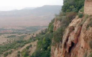 Interpellation de 10 braconniers dans le secteur forestier de Rchida près de Guercif