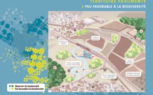 Inspections régionales de l’urbanisme et de l’aménagement du territoire