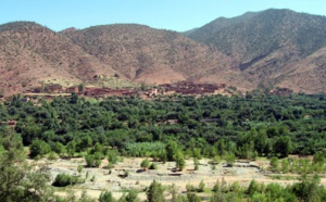 Zagora accueille la 4ème édition du Forum international des oasis