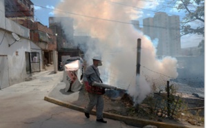 L'OMS annonce une réunion d'urgence sur le virus Zika