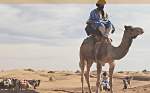 De Mhamid El Ghizlane au Niger, une Caravane culturelle pour la paix et la tolérance