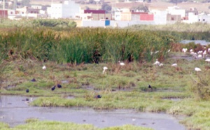 Le Maroc subit d'importants effets de dégradation de ses zones humides