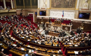 Révision constitutionnelle votée avec une nette majorité à l'Assemblée