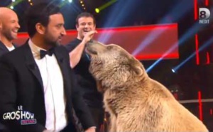 Un ours effraie Gad Elmaleh et Cyril Hanouna dans “Le Gros Show”