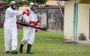 L'OMS estime possible une augmentation significative du nombre de cas de Zika