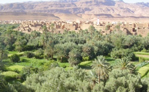 Le programme de développement territorial durable des oasis de Tafilalet, un projet exemplaire de développement local