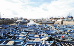 Malal évoque l’impact écologique de l’extension du port d’Essaouira