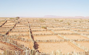 Présentation de l'expérience marocaine en matière de gestion durable des terres