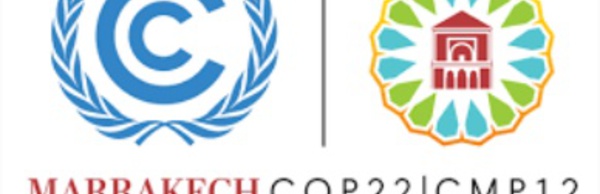 La COP22, une occasion pour faire entendre la voix de la société civile internationale
