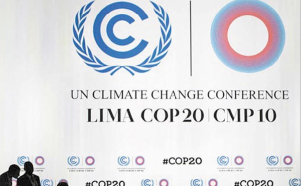 Appel à travailler main dans la main en vue de réussir la COP22