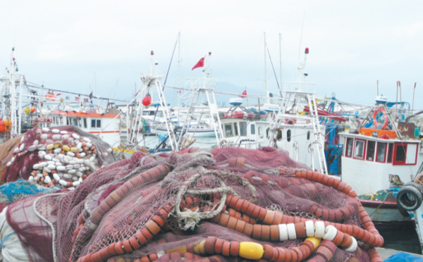 Razzia effrénée en mer