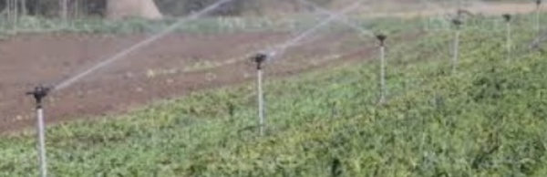 Un véritable défi pour l'essor du secteur agricole