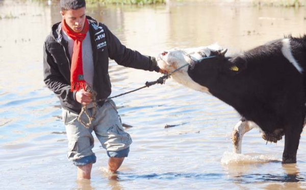 Pluies, chutes de neige, rafales de vent et inondations prévues