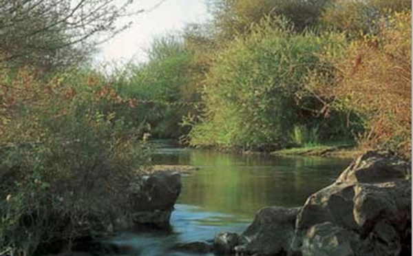 Deuxième Congrès international de l’environnement et du développement durable à Casablanca