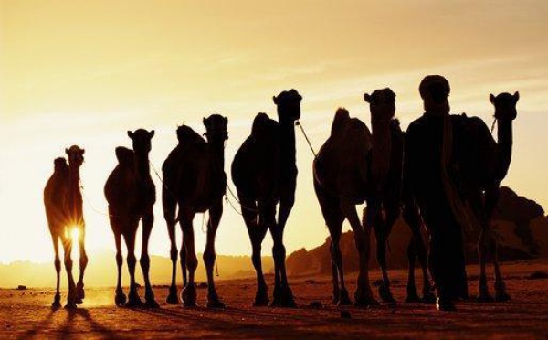 Gestion des ressources humaines : Le Maroc se dote de répertoires Emplois-Métiers