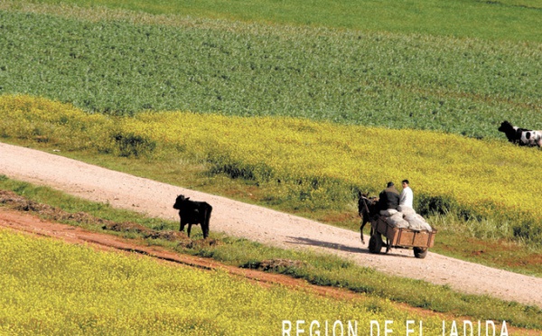 Les Assises de l’Agriculture évaluent le Plan Maroc Vert : Des résultats prometteurs mais des contraintes sérieuses