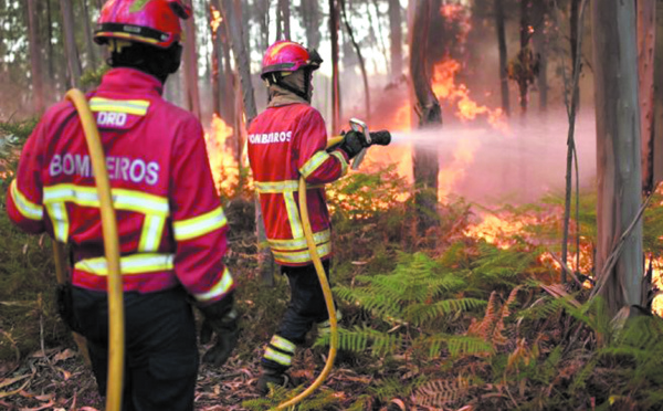 Un gigantesque incendie de forêt au Portugal