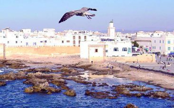 Il sévit encore dans les environs d’Essaouira : Le monstre de Ghazoua court toujours