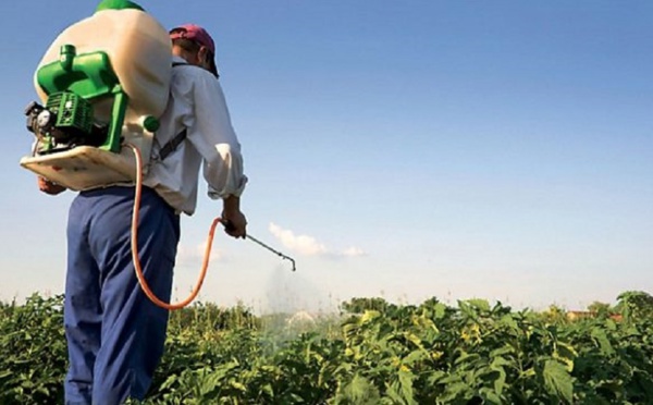 Les pesticides, un danger fatal