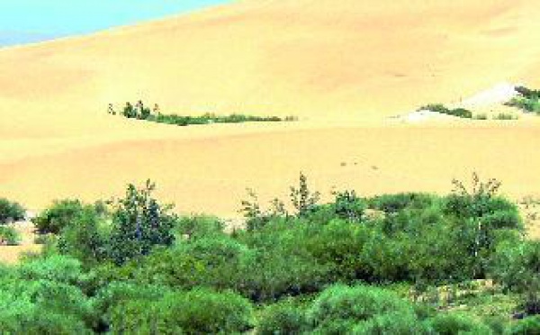 Dunes d'Essaouira : Autant en emporte le vent