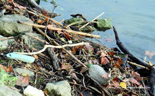 Les débats régionaux sur l'environnement s'ouvrent aujourd'hui : Définir les responsabilités et instaurer le principe du “pollueur payeur”