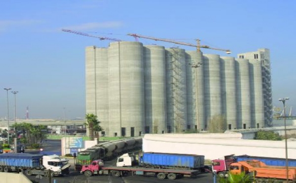 Appels d’offres lancés par l’ONICL pour l’importation de blé tendre : Des droits de douane à 45% pour le contingent américain