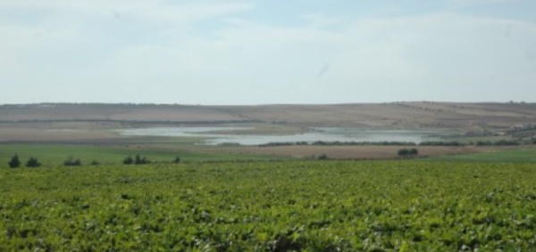 Le projet d'irrigation de la zone Chtouka en eau de mer dessalée sur la bonne voie