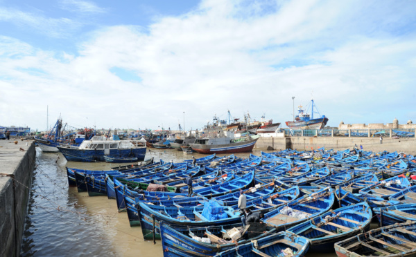 Le problème du trafic de poisson refait surface à Essaouira