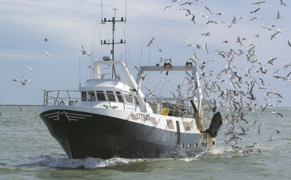 La position de l’avocat général de la CJUE exaspère les pêcheurs espagnols