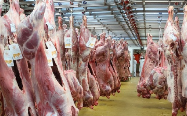 Création d'une commission chargée de la mise  à niveau des abattoirs de la province d’El Jadida