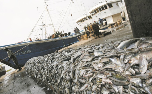 Un premier round conclu dans l’accord de pêche Maroc-UE :  Il n’y a ni rupture  ni suspension.  Le reste devra suivre