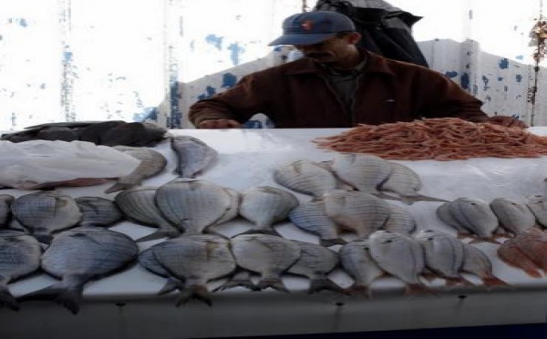 La hausse de 80% de la taxe communale enflamme les prix des produits halieutiques : Le poisson désormais hors de portée