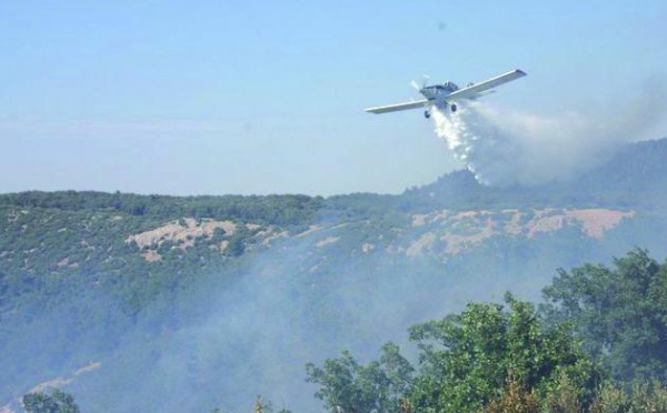 Province d'Ifrane : Le feu ravage une forêt de chêne vert et chêne zen