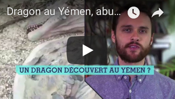 Les observateurs : Dragon au Yémen, abus de forces de l'ordre en Côte d'Ivoire et contre les domestiques au Liban