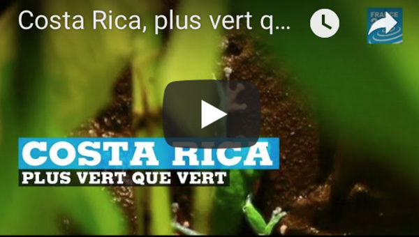 Costa Rica, plus vert que vert