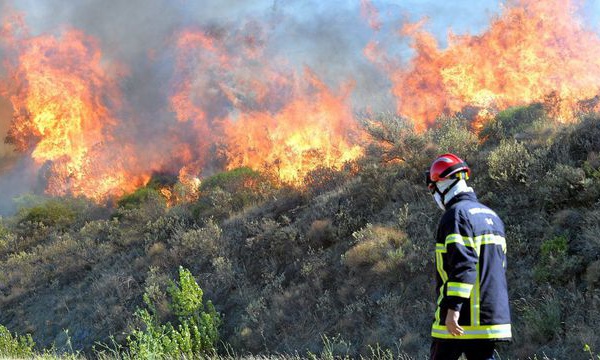 Les forêts marocaines menacées d’embrasement