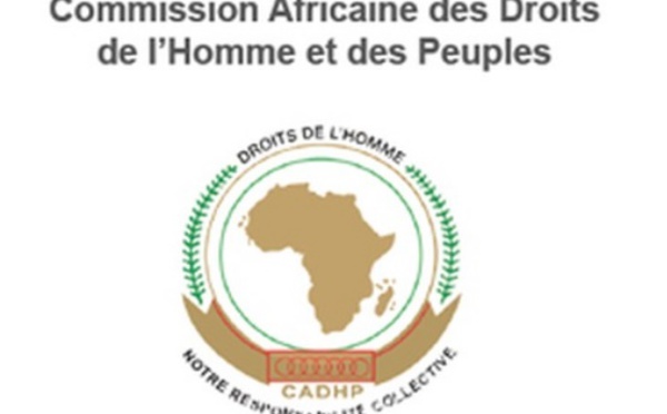 Droits de l'Homme : Les ONG nord-africaines doivent s'organiser en réseaux pour favoriser l'interaction avec la CADHP