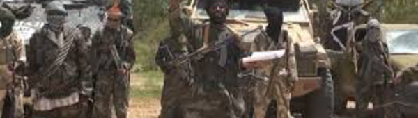 Prise d'une ville du Nigeria  par Boko Haram