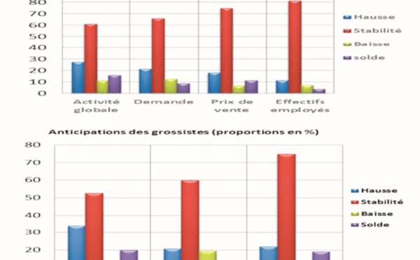 Un vent d’optimisme souffle sur les marchands et grossistes