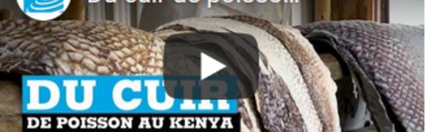 Du cuir de poisson fabriqué au Kenya