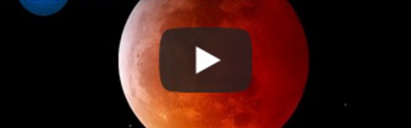 Sortie de nuit réussie pour la "Lune de sang", née de l'éclipse totale