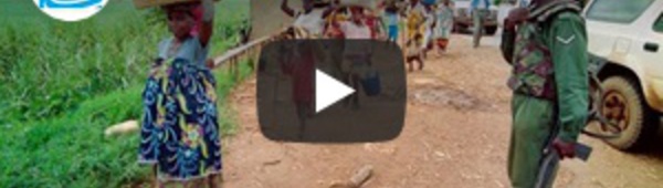 Rwanda : des médias français dévoilent une note de la DGSE sur l'attentat déclencheur du génocide