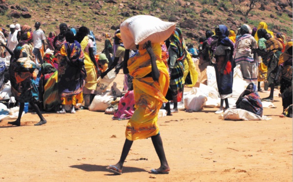 Au Tchad depuis 2003, les réfugiés du Darfour se sentent oubliés