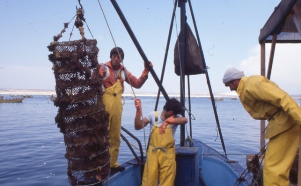 Avis de tempête sur l’Omnium marocain de pêche