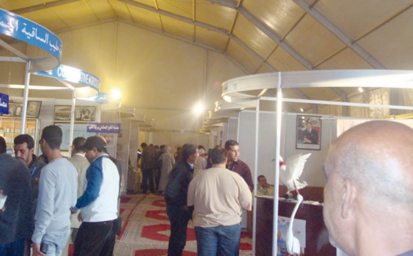 Foire agricole de Laâyoune: Promouvoir une agriculture solidaire